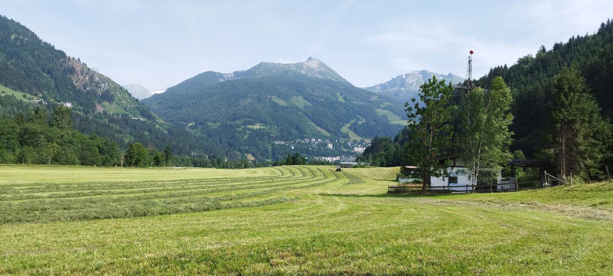 バート・ホーフガシュタイン Bio Bauernhof Schweizerhofヴィラ エクステリア 写真